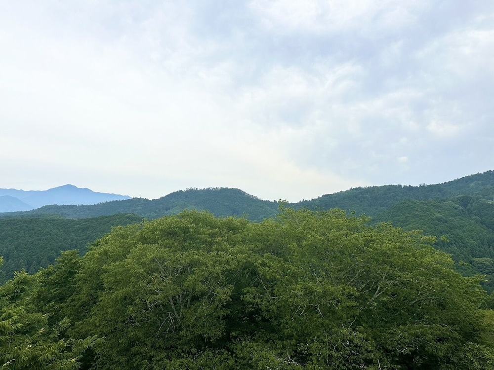 ラグジュアリー ルーム マウンテンビュー 客室3 | 吉野荘 湯川屋