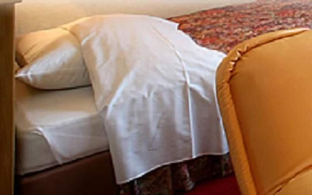 客室1 | ビジネスグリーンホテル八日市