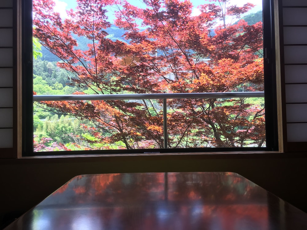 和室　セミ・スイート 部屋からの景観1 | 川上屋花水亭