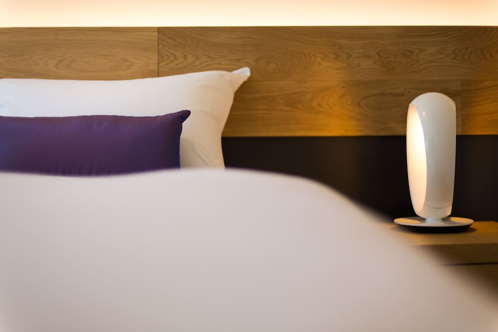 スーペリアニセコルーム (中階、シャワー付き、エアコンなし / 扇風機のみ) 禁煙 客室6 | Always Niseko