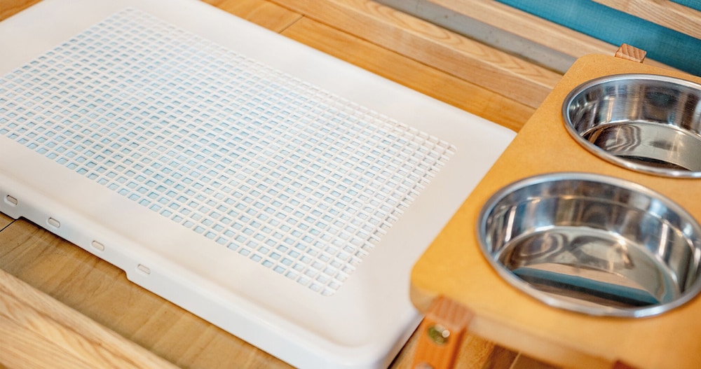 リニューアル ペットルーム 2F 禁煙 (3歳以下のお子様は添い寝となり無料の為, 検索時の予約人数に含めないで下さい) 客室5 | シーガイア・フォレスト・コテージ