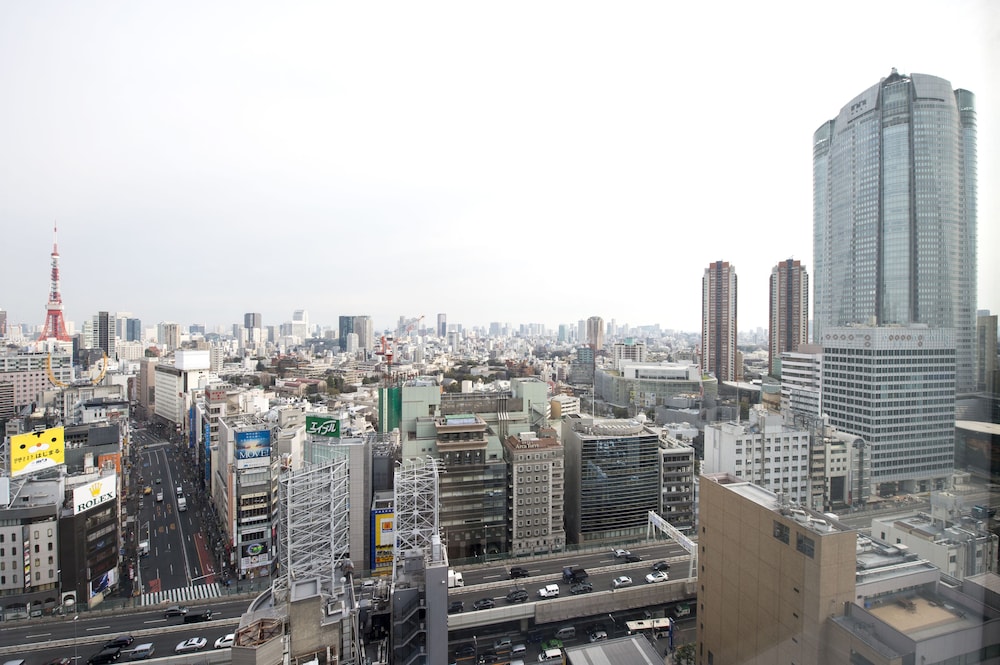 タワービュー　エコノミーダブルルーム 禁煙 部屋からの景観1 | レム六本木