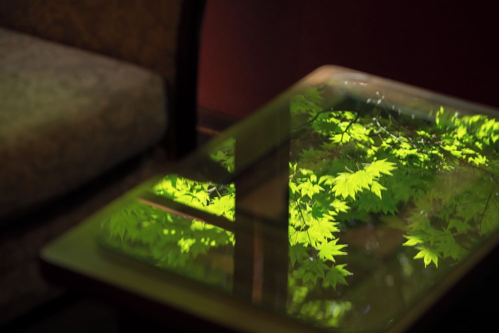 露天風呂付 和洋室 禁煙 リビング エリア1 | あらや滔々庵