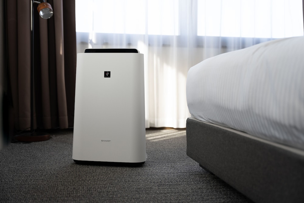 シングルルーム 禁煙 1ベッド 2名利用 客室3 | プレミアホテル-CABIN PRESIDENT-函館