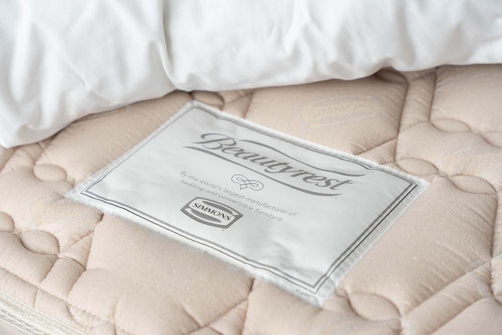 シングルルーム 禁煙 1ベッド 2名利用 客室4 | プレミアホテル-CABIN PRESIDENT-函館