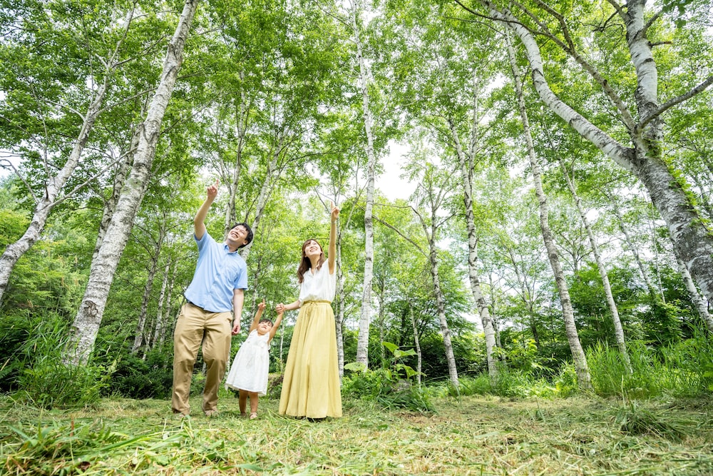 マウンテンルーム 最上階のリニューアルルーム 客室2 | 八幡平マウンテンホテル