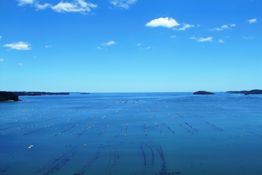 南館海側和室 10帖 ビーチ / オーシャン ビュー0 | 南三陸ホテル観洋