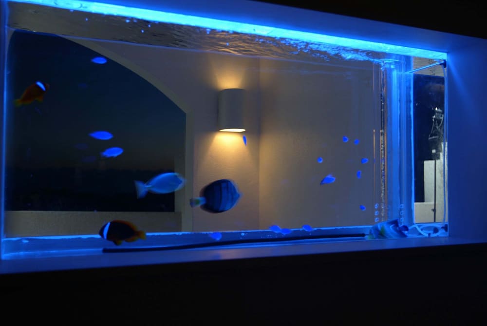 スイート (アイランドスイート 12号室) 客室の設備とサービス1 | リゾートホテル コルテラルゴ伊豆高原