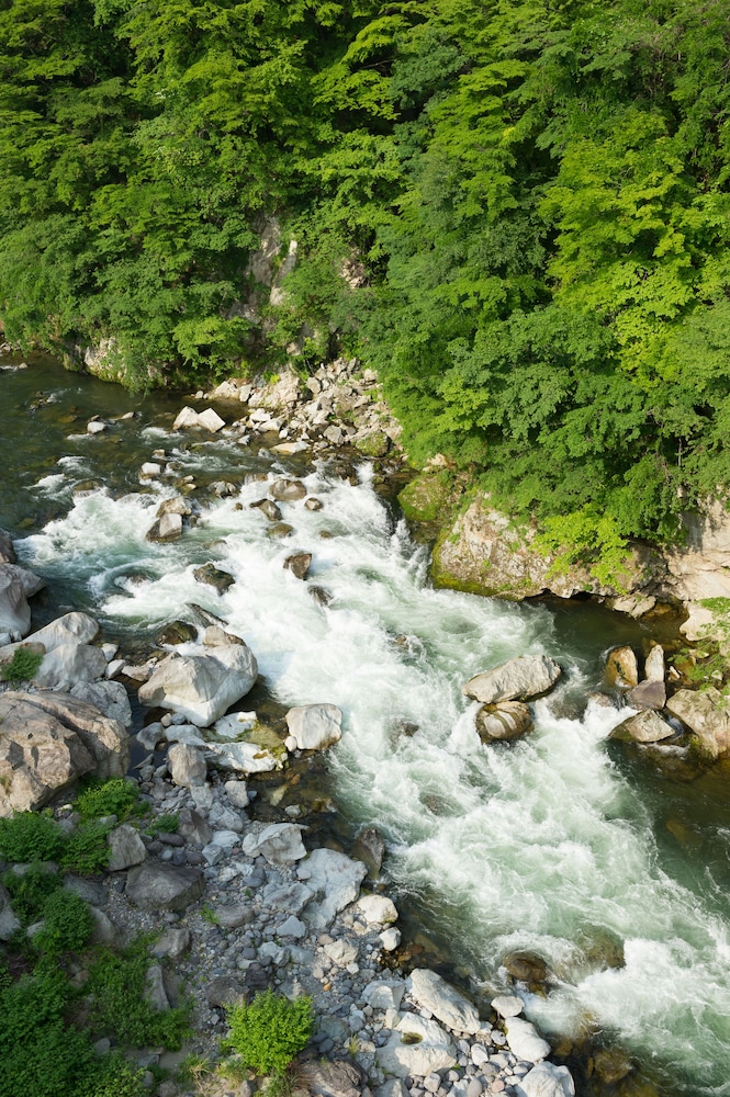 和洋室 共有バスルーム 禁煙 部屋からの景観0 | 鬼怒川温泉 絶景の宿 佳祥坊福松