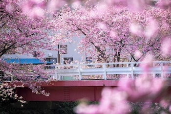 伊豆今井浜東急ホテル