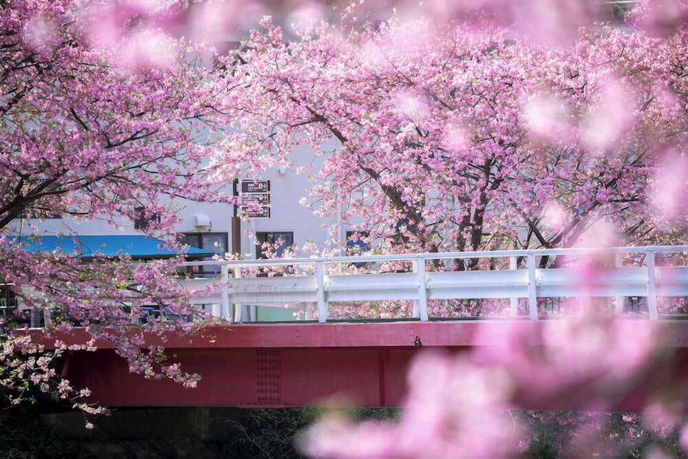 メインイメージ | 伊豆今井浜東急ホテル メインイメージ | 伊豆今井浜東急ホテル