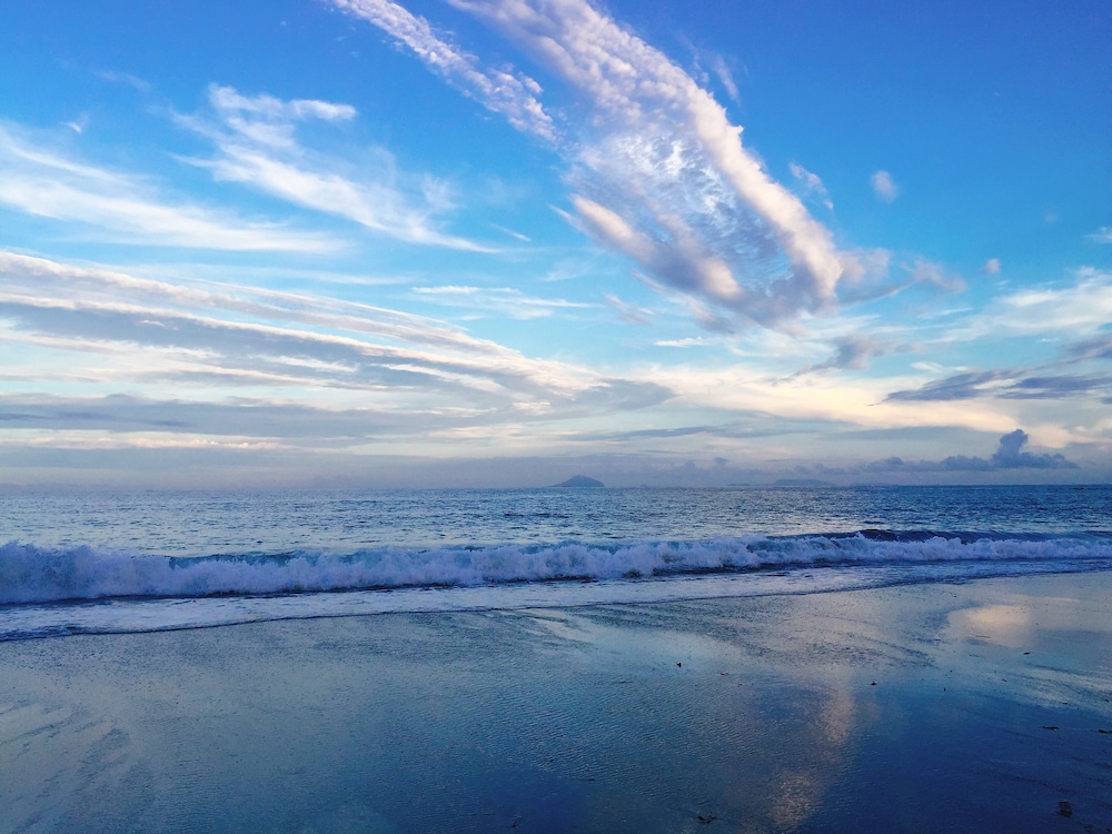 ロイヤル スイート 客室7 | 伊豆今井浜東急ホテル