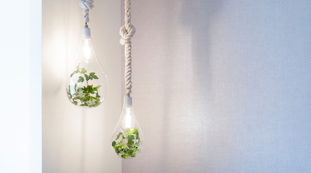 レディースツインルーム 客室2 | きたゆざわ 森のソラニワ