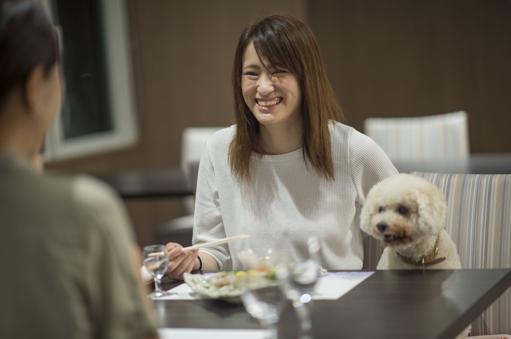 レストラン1 | 鳥羽わんわんパラダイスホテル レストラン1 | 鳥羽わんわんパラダイスホテル