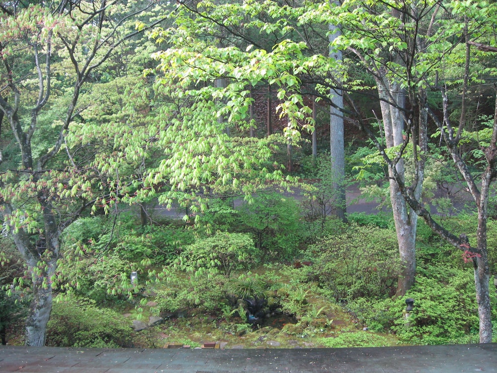 本館ツイン 部屋からの景観0 | 軽井沢ノームの森