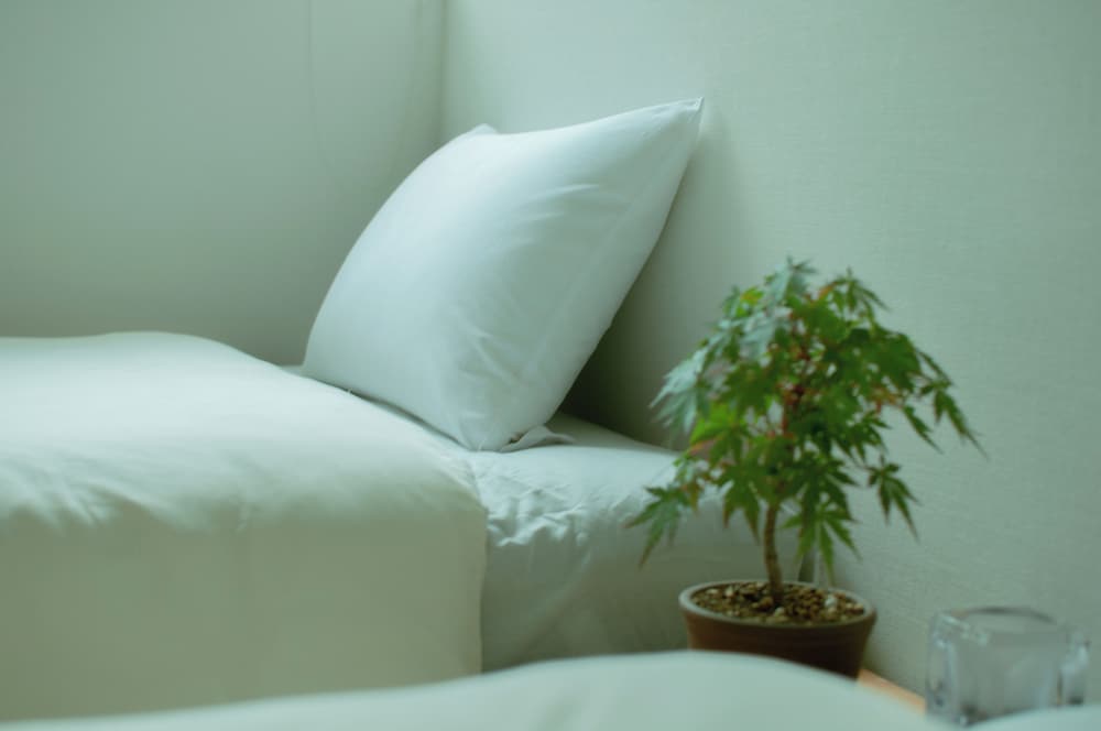 和室ツインベッド 禁煙 | ホステル マウントフジ福屋