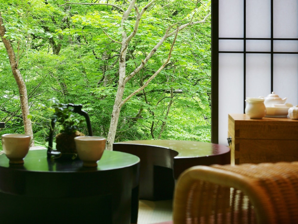 [特別室 山酔庵] 源泉かけ流し半露天風呂付和洋室 禁煙 部屋からの景観0 | やまゆりの宿