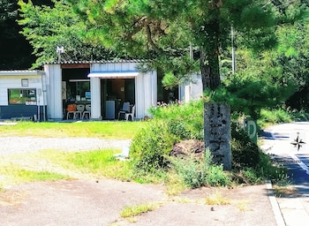 ルピナス河口湖