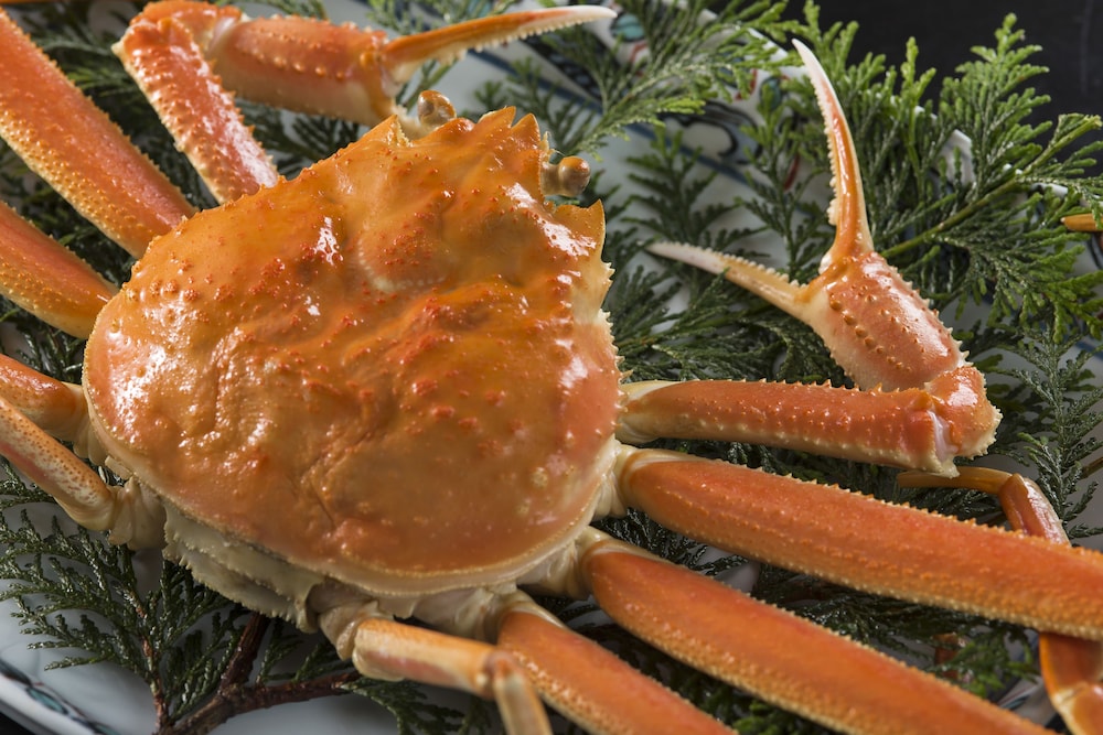 食事・飲み物1 | りぞうと旅館 宿かり 食事・飲み物1 | りぞうと旅館 宿かり