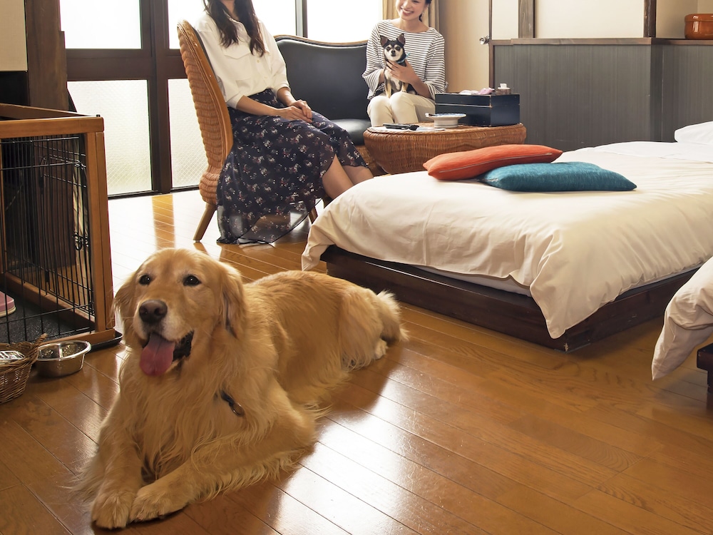 わんこ同伴OK - ツインルーム 喫煙 別館 バス無しトイレ付き 客室5 | 下呂温泉 紅葉館 別館 わん泊亭