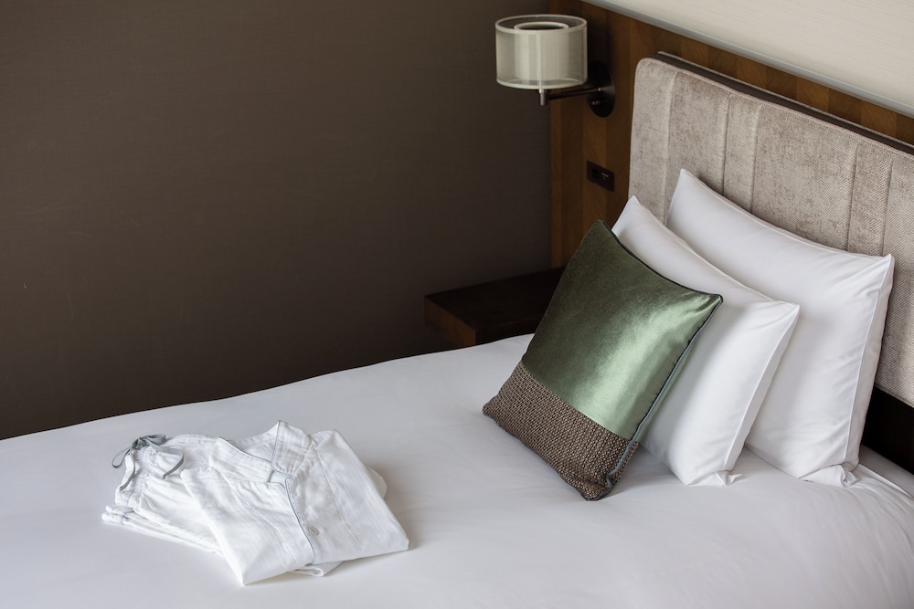 アクセシブルクイーン (喫煙可) 客室5 | ホテル ザ セレスティン銀座