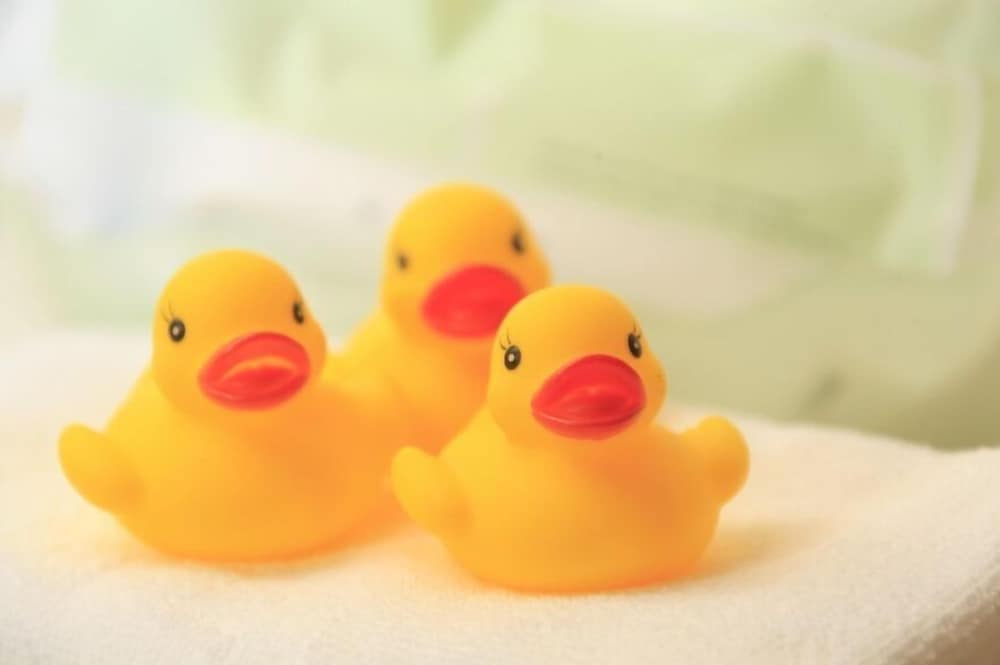 子供向けアクティビティ1 | アーバンホテル東京 新松戸 子供向けアクティビティ1 | アーバンホテル東京 新松戸