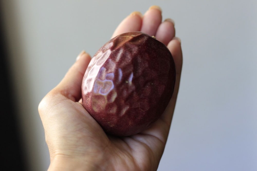 スーペリア トリプルルーム 禁煙 専用キッチン1 | 南国ロッジ Booya