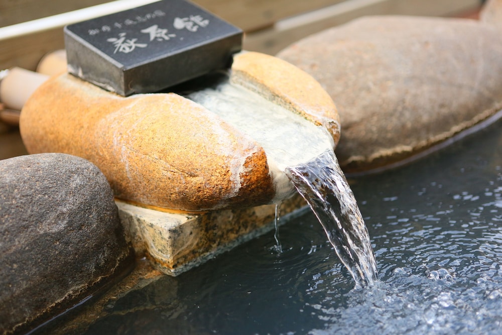 和室10畳 バスなし バスルーム2 | 美白の湯　荻原館