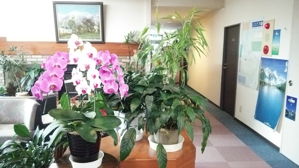 メインイメージ | 白馬ホテル 花乃郷