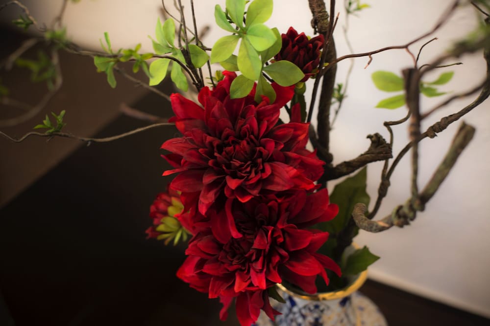 スタンダード 4 人部屋 禁煙 テラス 客室2 | 蓼科 親湯温泉