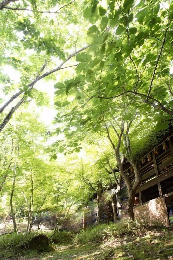 施設の敷地1 | 黒川温泉 夢龍胆 施設の敷地1 | 黒川温泉 夢龍胆