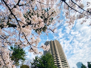 東京マリオットホテル