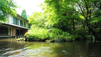 海石榴 (つばき)