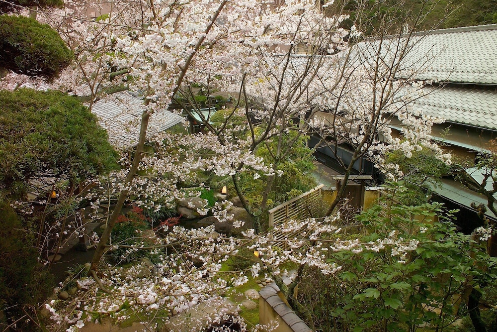 和室スタンダート トイレ付・シャワールームなし(禁煙) 部屋からの景観0 | 陶泉 御所坊