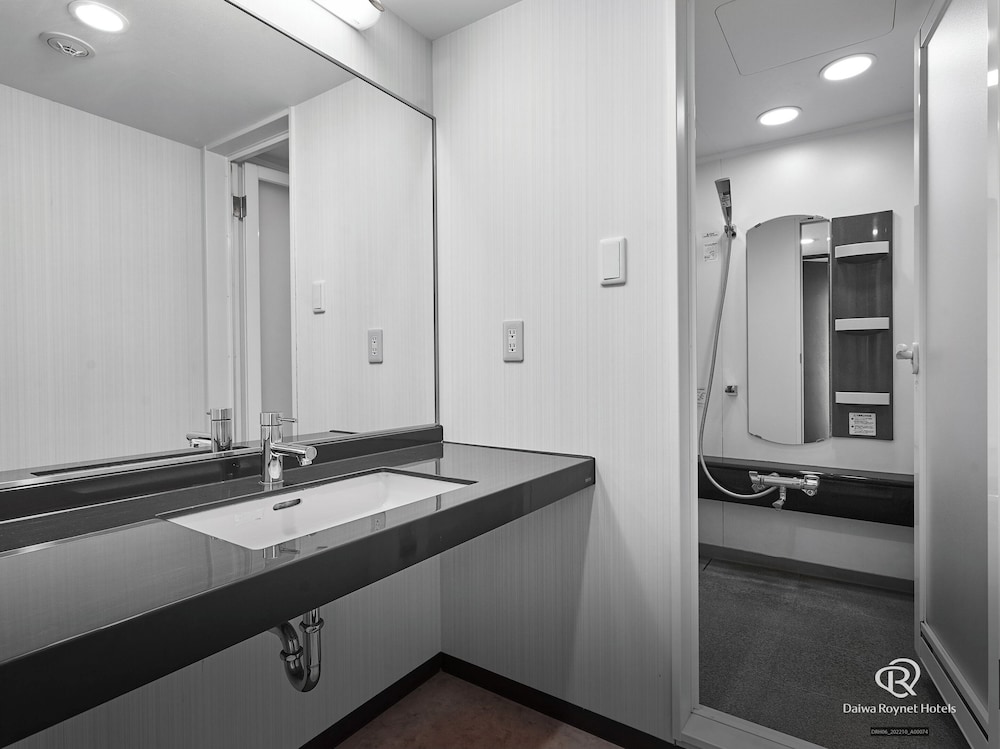 プレミアム ダブルルーム クイーンベッド 1 台 喫煙可 バスルーム3 | ダイワロイネットホテル 岡山駅前