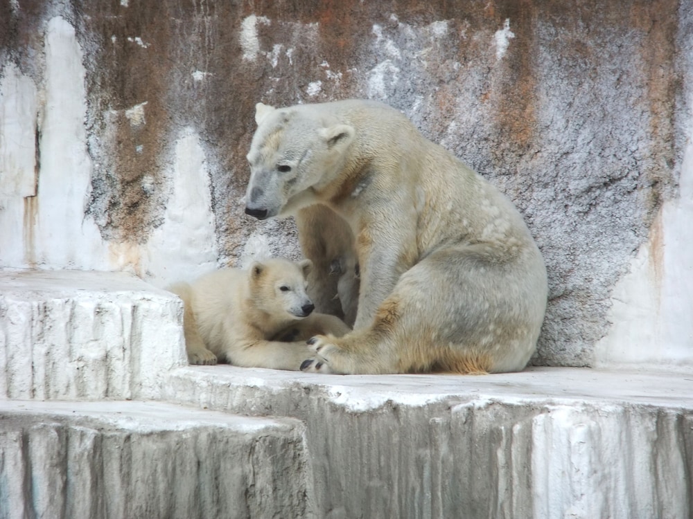観光スポット1 | @RLiS_house 天王寺東 観光スポット1 | @RLiS_house 天王寺東