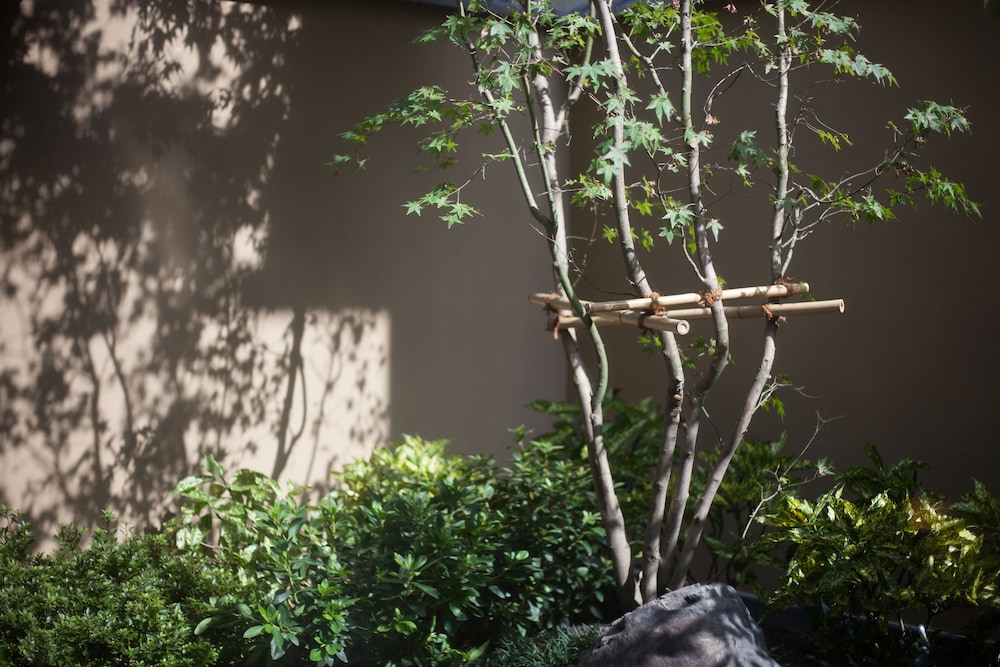 コンフォートツインルーム (庭付き) 禁煙 部屋からの景観0 | ぎおん美先