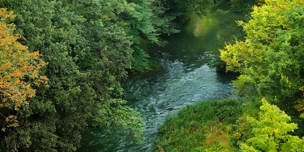 和室【花】リバービュー・ユニットバスorアウトバス 禁煙 部屋からの景観0 | かがり吉祥亭