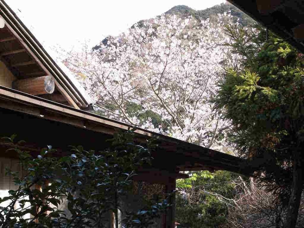 Class 2 離れ露天風呂付客室 (お部屋お任せ / 写真は一例です) 客室0 | 離れ家 石田屋