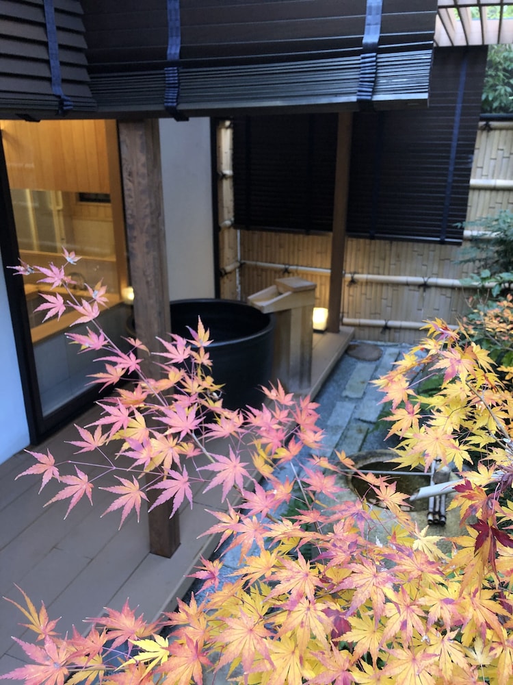 紅梅 ガーデン ビュー0 | 上七軒　億