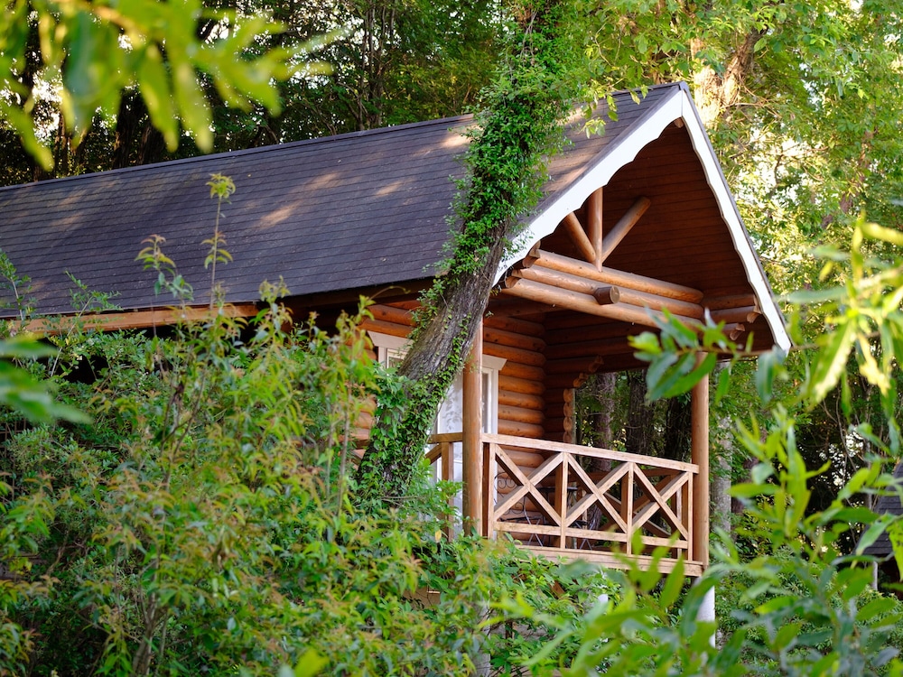 ログハウス (ベッドタイプ選択不可) 客室6 | かいがけ温泉 きのこの里