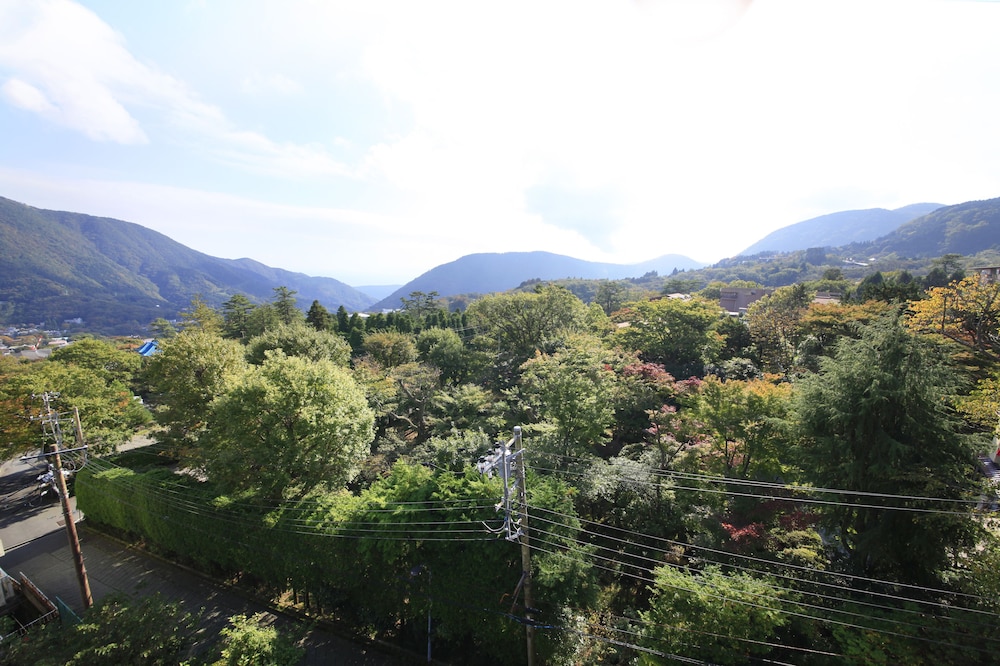 和室2間 マウンテン ビュー0 | ゆとりろ庵 ANNEX