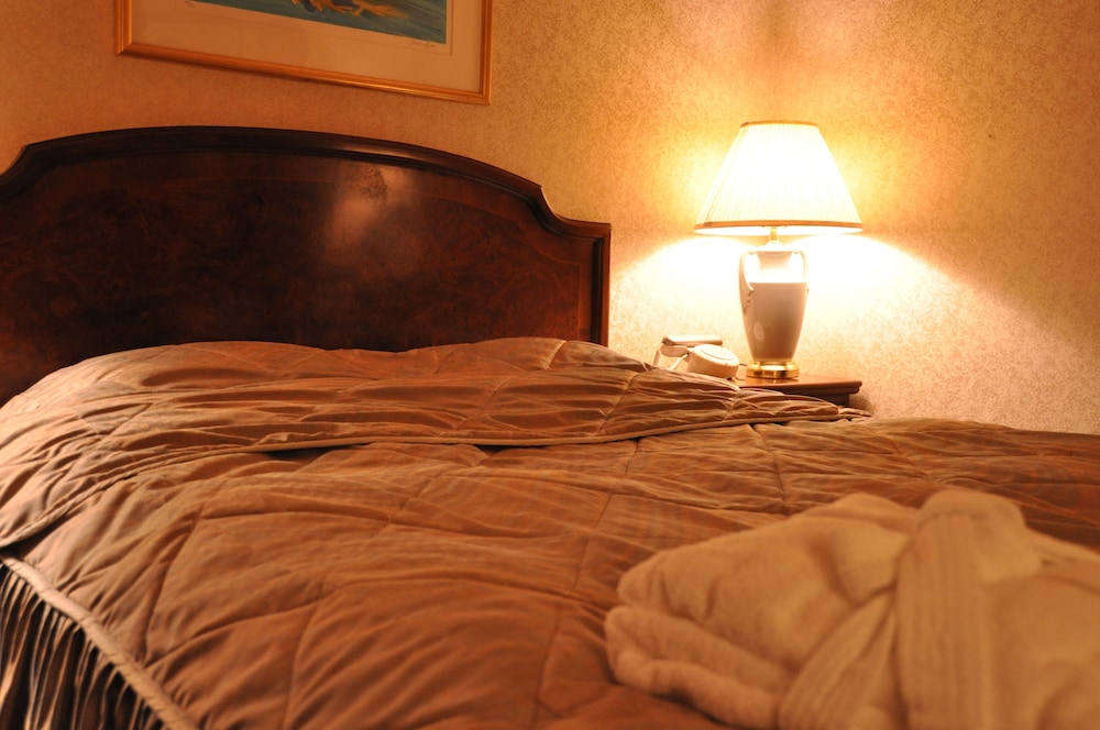 デラックス ダブルルーム 禁煙 | パレスイン豊田