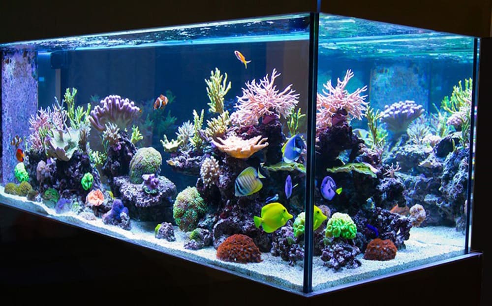 ロビー1 | ホテルザホテル 新宿歌舞伎町 - 大人限定 ロビー1 | ホテルザホテル 新宿歌舞伎町 - 大人限定