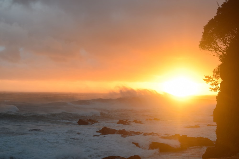 施設の敷地1 | XYZ Private spa and Seaside Resort