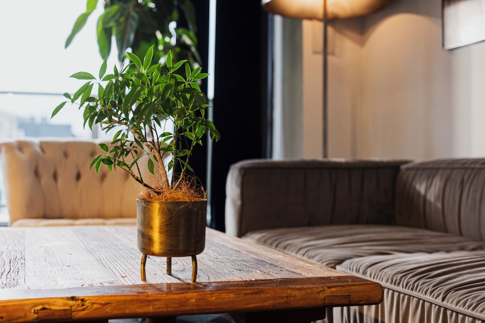 ペントハウス 禁煙 (145平米/ベッドサイズ210x195cm) 客室19 | H HOTEL