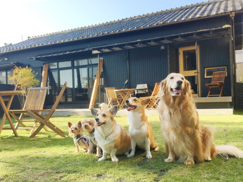 青藍 テラス / パティオ0 | 日本色 NIHON IRO