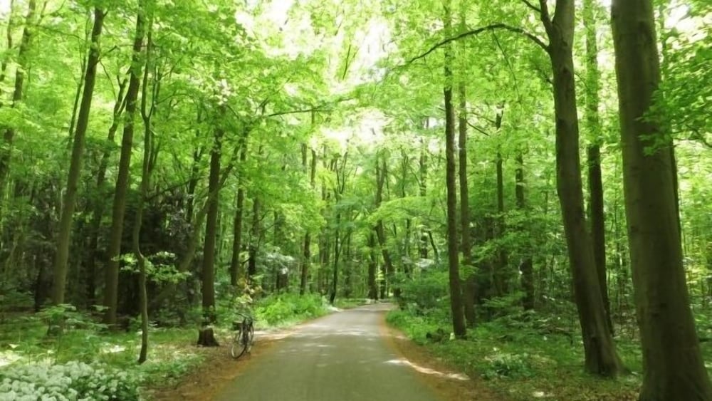 客宀1 | ãã³ã·ã§ã³ ããŒããŒã ãŒã³ 客宀1 | ãã³ã·ã§ã³ ããŒããŒã ãŒã³