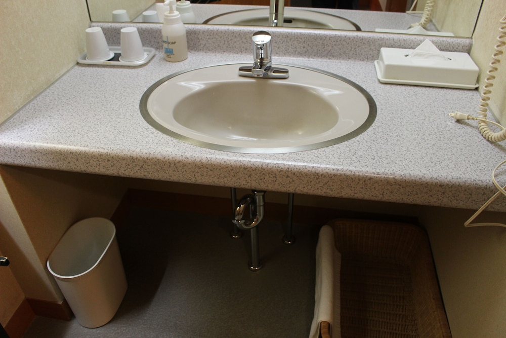 和室（12.5帖） バスルームのシンク0 | 祭屋湯左衛門