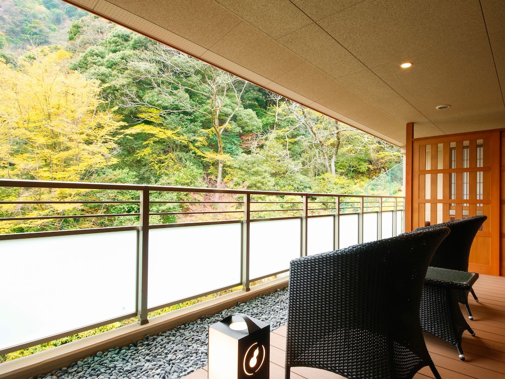 [D] 金泉露天風呂付 最上階和室65平米テラス付-牡丹　禁煙 バルコニーからの眺望1 | 天地の宿 奥の細道